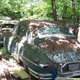 Illustration for article titled Former Car Dealers Collection Of Decaying Packards Head To Auction